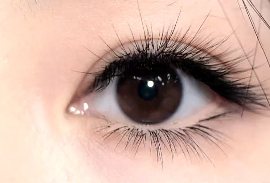 Client result — natural everyday lash set